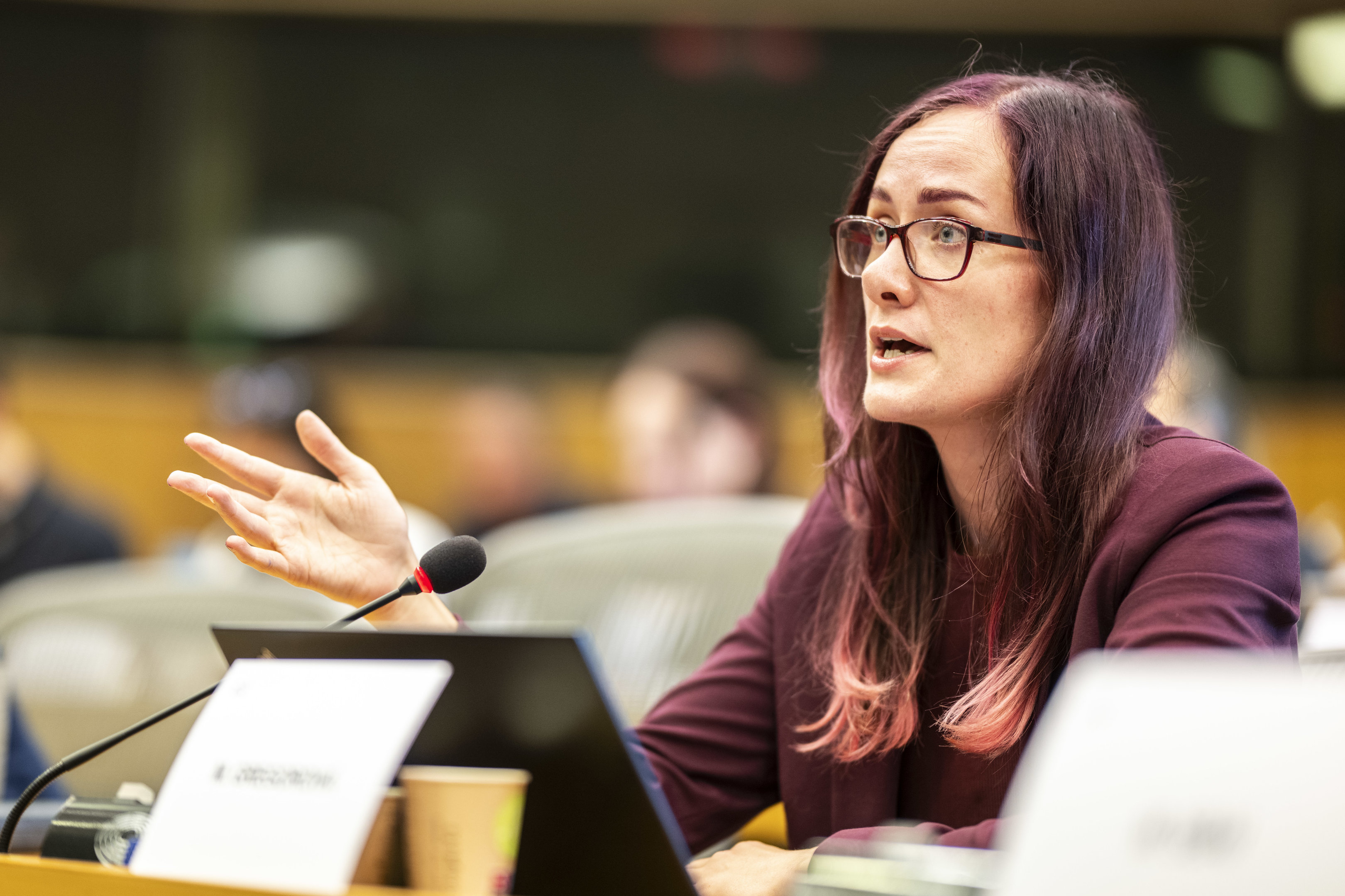 european parliament photo