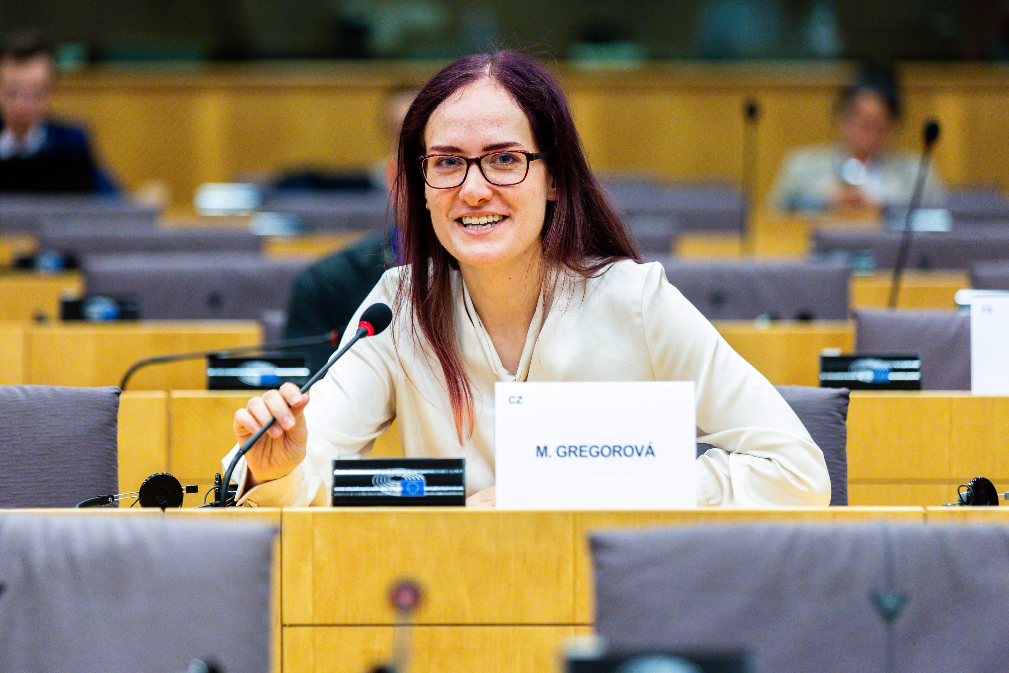 european parliament photo