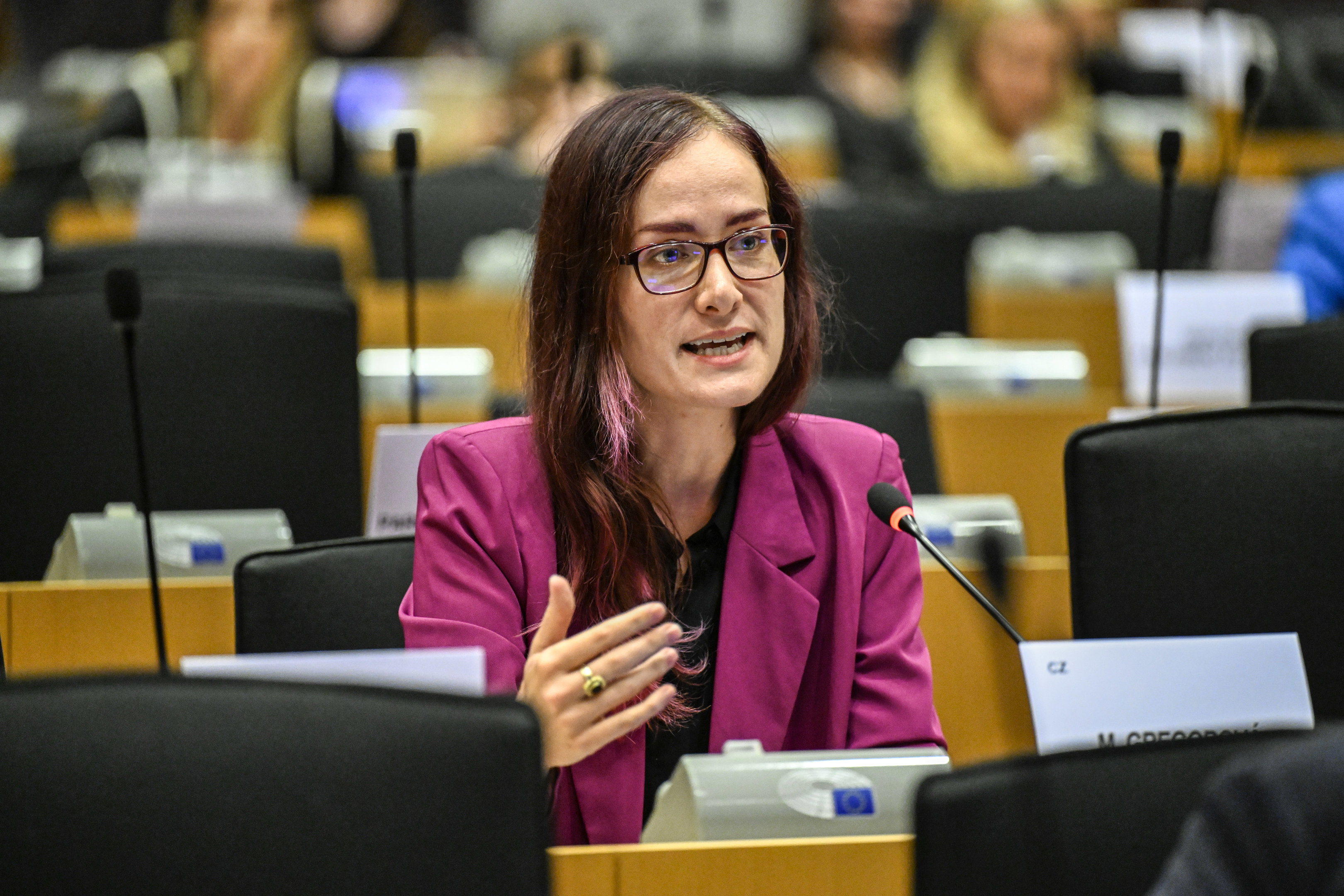 european parliament photo